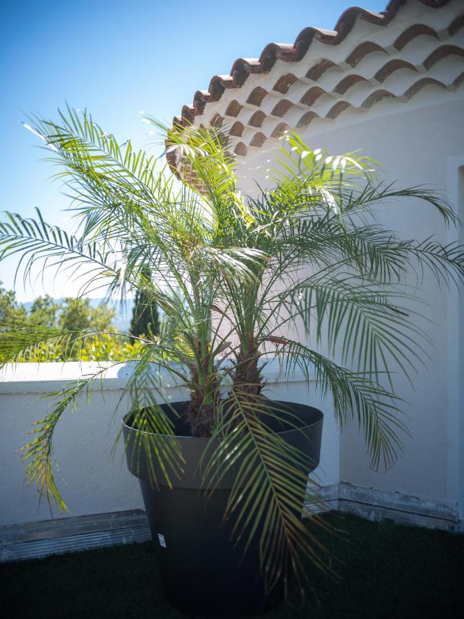 La Bastide De St Barnabe Jacuzzi Climatisation Parking Petanque Διαμέρισμα Μασσαλία Εξωτερικό φωτογραφία